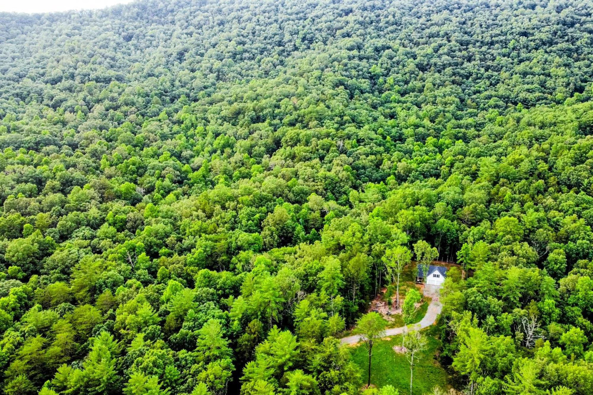 White Owl Cottage 블레어스빌 외부 사진